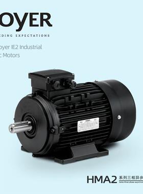 丹麦HOYER MOTOR霍尔电机IE1 IE2 IE3 IE4现货三相异步铝壳电动机