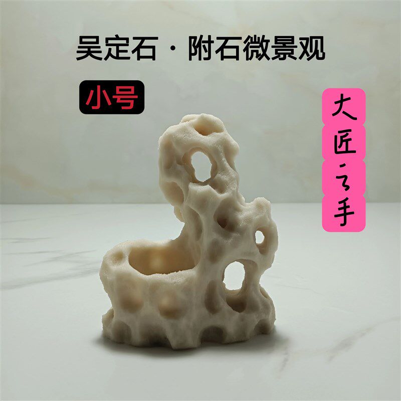 吴定石吸水石上水石捕虫堇菖蒲苔藓盆附石盆假山石雕绿植观赏摆件