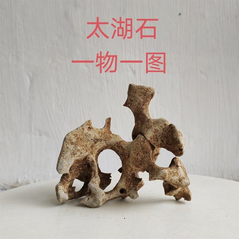 太湖石观赏摆件石英石墨石玲珑石盆景附精品奇石天然原石头A01,家居饰品,流水摆件,淘宝优惠券,粉丝福利购,淘宝优惠卷