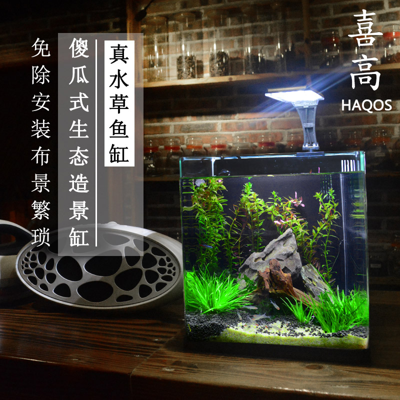 鱼缸客厅小型桌面家用乌龟水陆缸免换水懒人超白玻璃装饰水族箱缸
