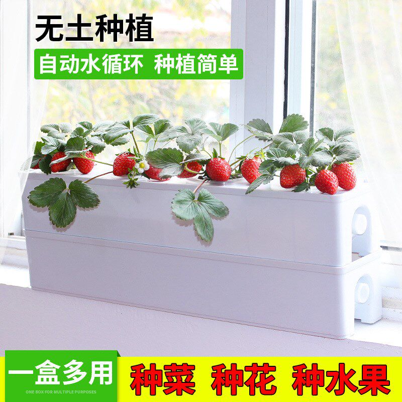 郁金香水培花盆阳台无土栽培种菜盆水培蔬菜草莓种植箱智能水耕种