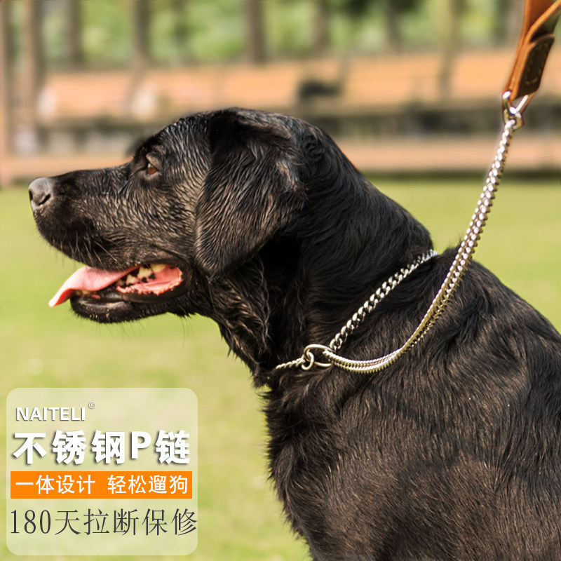 钛钢一体式P链防爆拉训犬P字链不锈钢冲大型犬拉布中多金毛牵引绳
