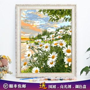新款diy数字油画花卉千头菊田园解闷手工绘填色涂画装饰油彩挂画