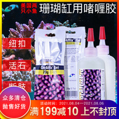 两只小鱼珊瑚胶水海水鱼缸水族箱啫喱胶纽扣快速粘接胜过阿隆发