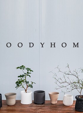 本木庐舍丨各种花盆水泥盆陶盆规则不规则盆器摆件级别