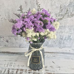 勿忘我干花花束带花瓶套装满天星真花装饰客厅家居摆设小清新摆件