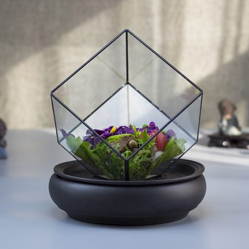 新款创意透明玻璃立方体意境碗干冰紫砂盘套装酒店会所餐具用品