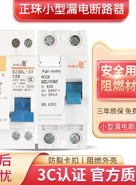 正珠DZ30LE-32家用小型漏电保护器断路器DPN空气开关双进双出双线