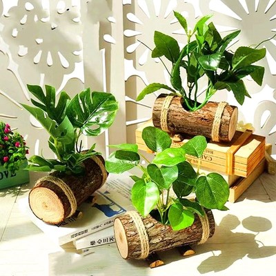 芦丁鸡窝造景芦丁鸡窝造景绿植卢丁鸡造景用品全套饲养箱用品造景