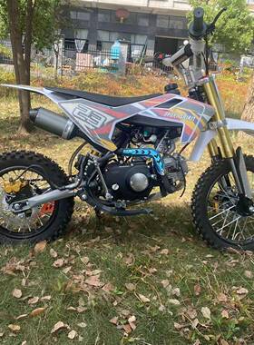 110CC越野车摩托车两轮全地形山地越野赛车沙滩车大越野高速