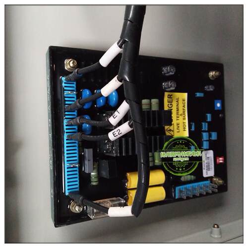 英格发电机自动调压板EVC600iEVC6000CWT-3WT-2整流轮100A-1200