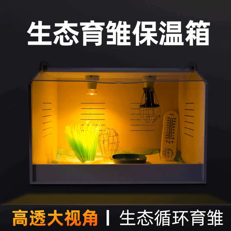 雏鸡鹌鹑箱小鸡鸟保温饲养爬宠箱鸡鸭鹅芦丁鸡育雏箱暖宝宝