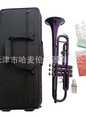 厂家销售哈麦伦彩色小号乐器降B调紫色铜管吹奏专业演奏初学乐队