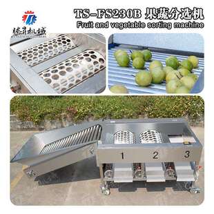 自动柑橘选果机柠檬筛选分级机果场专用滚杠选果机水果分选机