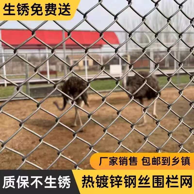 热镀锌钢丝网勾花铁丝网围栏网养殖网护栏狗牛羊猪菱形防锈防护网