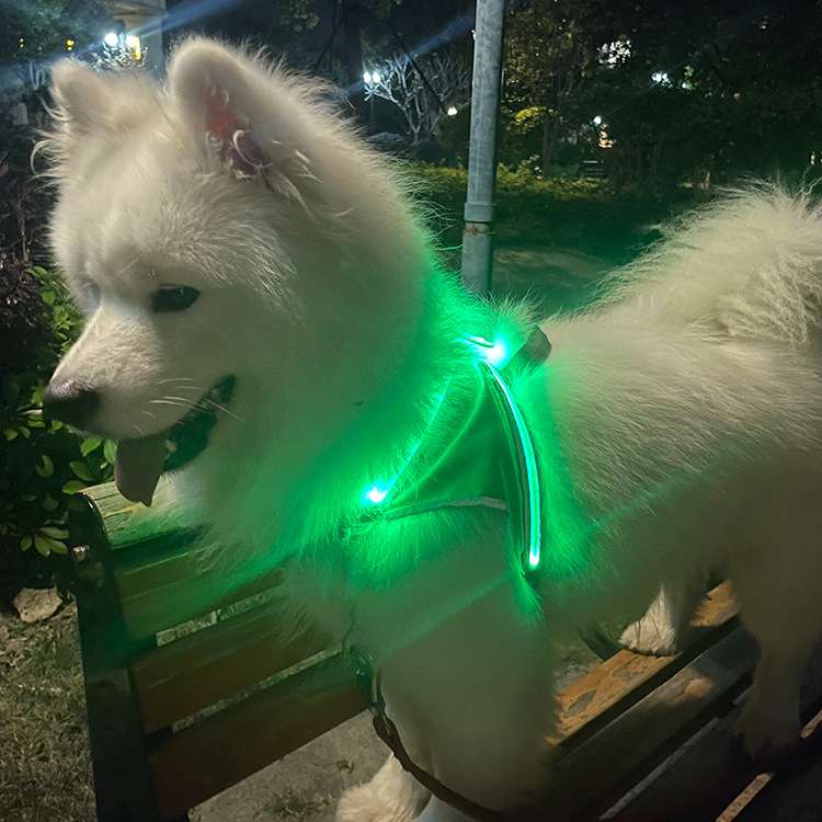 LED宠物发光胸背带防挣脱狗狗反光胸背带可拆洗狗狗发光胸背带