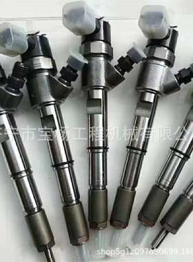 0445110805共轨喷油器0445110804 0433172556喷油嘴总成