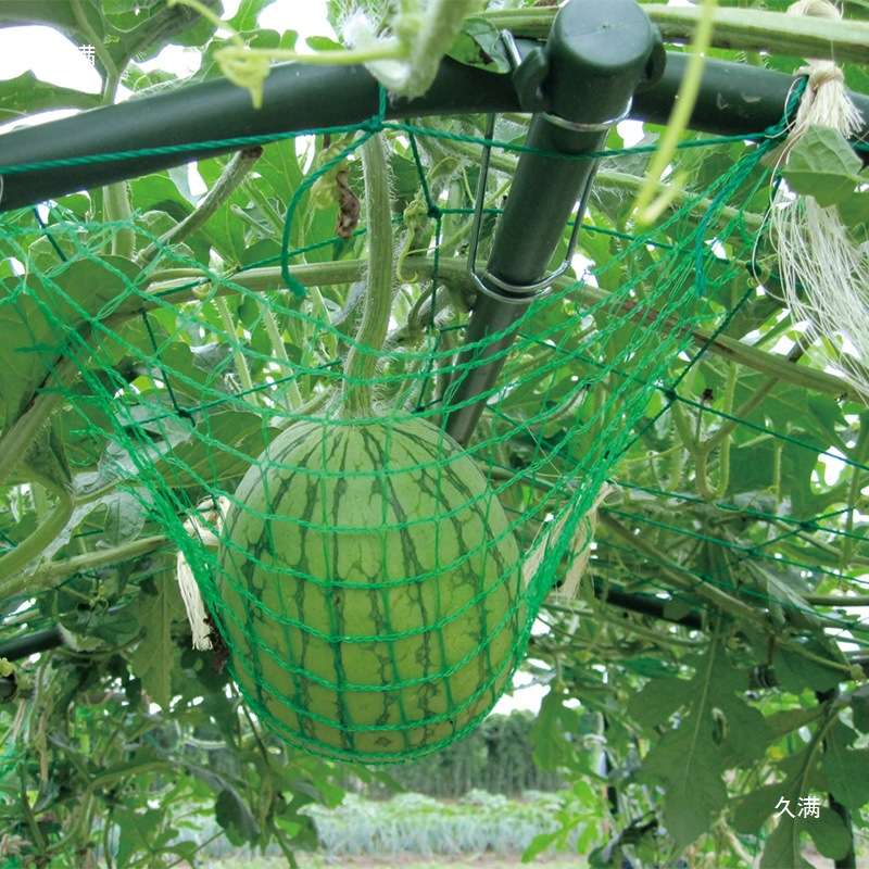 葡萄架花架园艺支架爬藤植物藤架黄瓜丝瓜百香果攀爬菜园种植架子