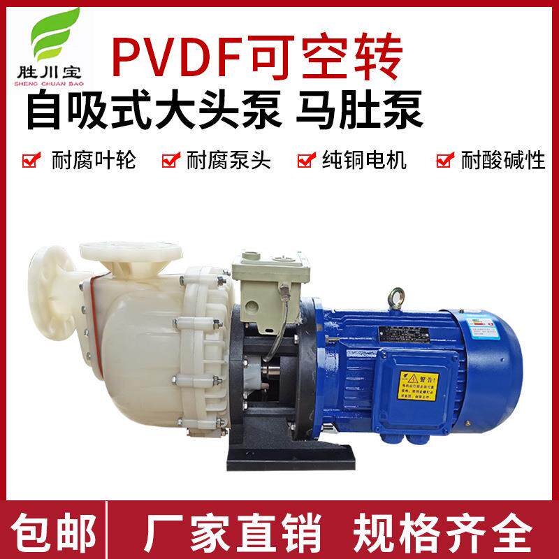 塑料可空转PVDF自吸泵耐强酸马肚泵耐高温卧式大头泵化工泵电镀泵