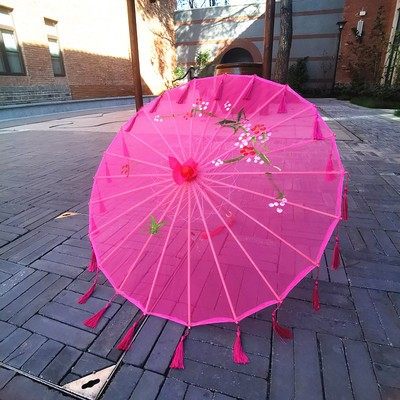 古典江南娟纱流苏伞半透明工艺道具油纸伞演出伞舞蹈伞走秀跳舞伞,家居饰品,工艺伞,淘宝优惠券,粉丝福利购,淘宝优惠卷