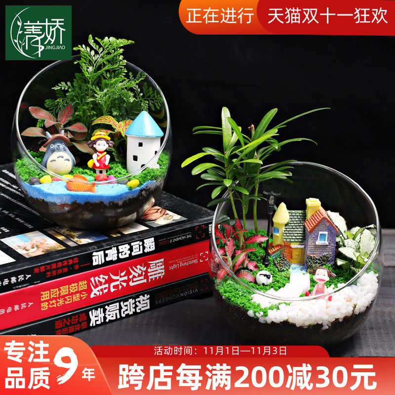 12cm切口瓶苔藓微景观DIY材料套装 办公室内桌面迷你盆景绿植组合