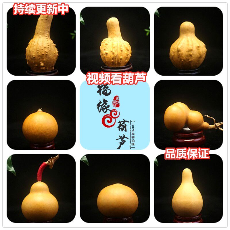 天津嘴葫芦 葫芦手捻 文玩葫芦精品小葫芦 把件葫芦天然 八宝葫芦