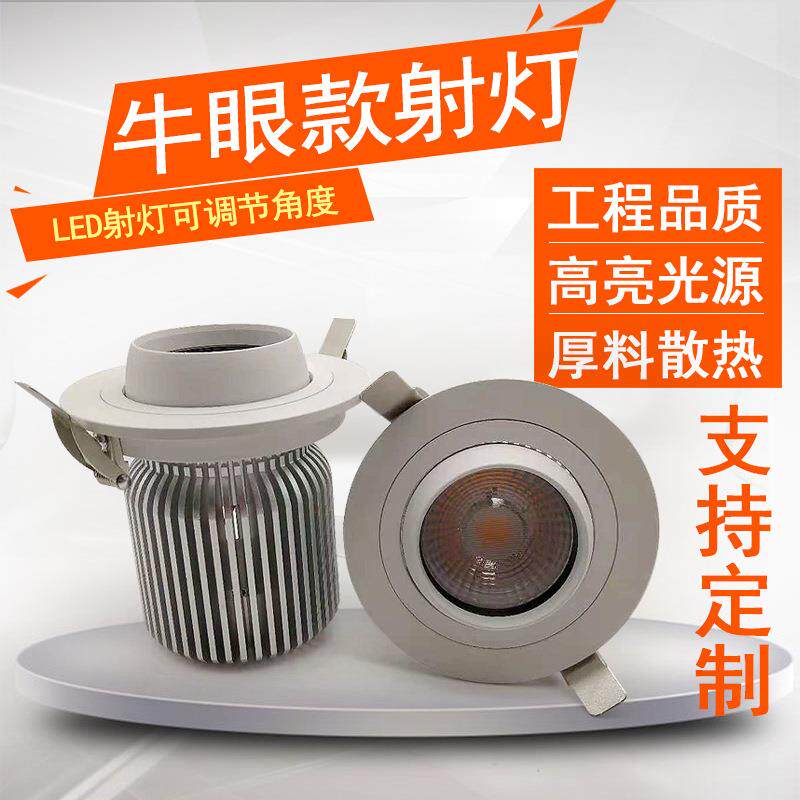 源头货源LED牛眼射灯30W万向调节360度嵌入式服装展厅瓷砖店射灯