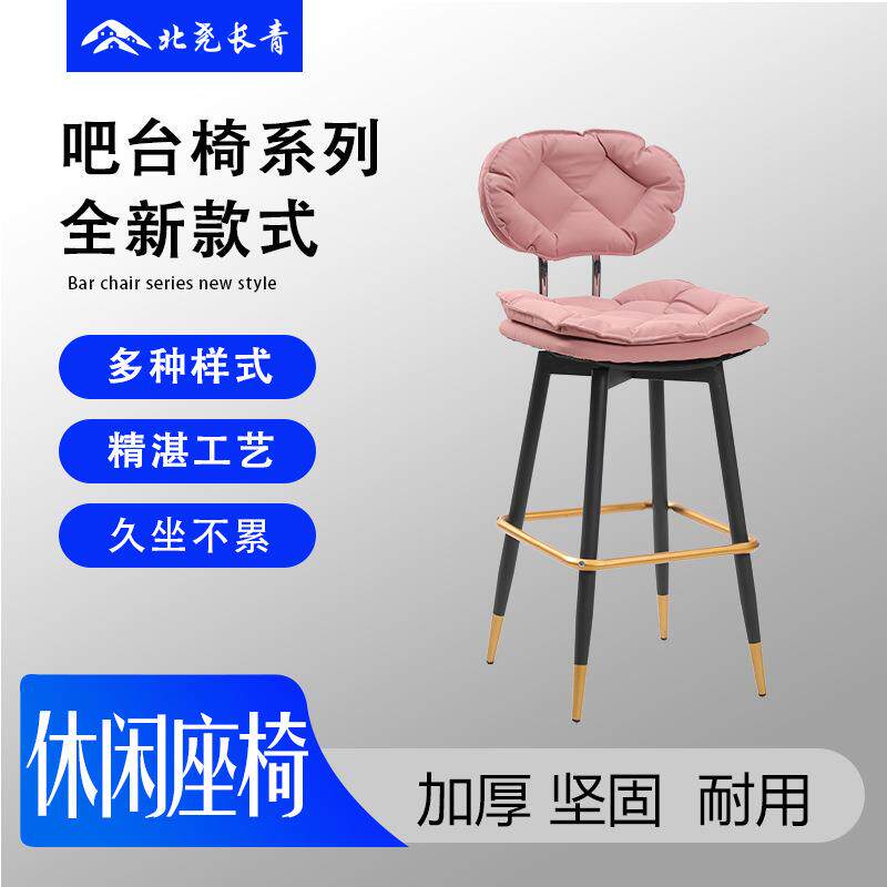 厂家直销家用靠背椅椅子创意轻奢椅子北尧长青餐椅休闲椅