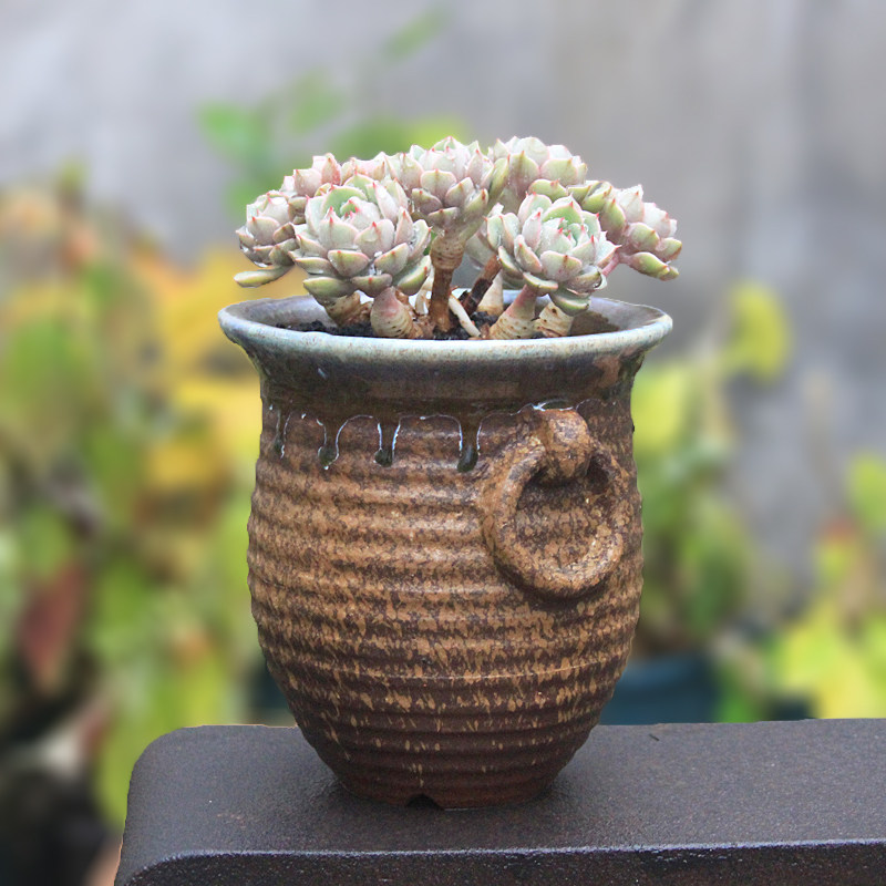 多肉绿植花盆古典粗陶花器 双环方形陶瓷高端精品创意造景花器