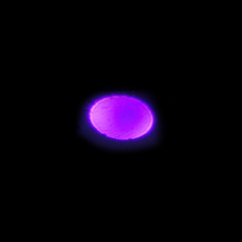 450nm5m 蓝色点状激光模组 W光激光指示器蓝激光瞄准指示器