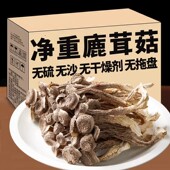 鹿茸菇干货500g鹿茸菌非特级野生脆脆菇蘑菇干煲汤食材干锅