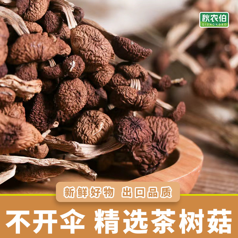 秋农伯古田优选茶树菇干货特产级商用茶树菇煲汤料不开伞茶树菇