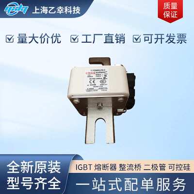 巴斯曼熔断器  170M6344 170M6345 170M6346 170M6347 170M6348