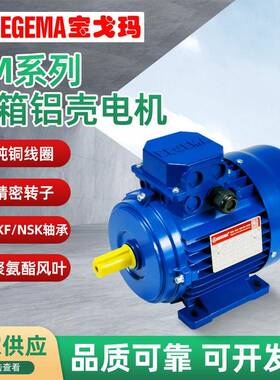 能电机BN63B4B14-0.18W三相交流马达6极立式380V微型