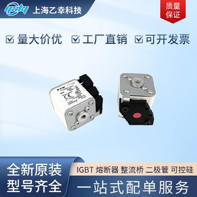 巴斯曼熔断器 170M3510 170M3511 170M3512 170M3513 170M3514