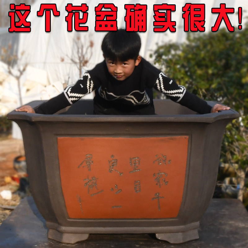大口径方形花盆陶瓷大号特大号盆景盆栽龟背竹透气紫砂四方花盆大