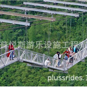 景区景观桥 趣味桥 蹦蹦桥 摇摆桥 摇摇吊桥 山地景区游乐项目