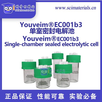 Fueiceel EC001b3五口单室密封电解池 三电极电化学池 玻璃池体