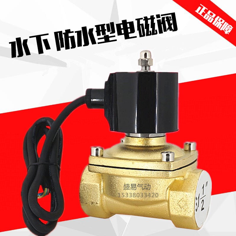 水下喷泉跳泉 1.2寸防水电磁阀水阀开关阀 DN32 气阀AC220V DC24V