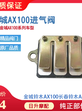 适用摩托车金城铃木AX100长春100二冲程摩托车进气阀吸气阀门组件