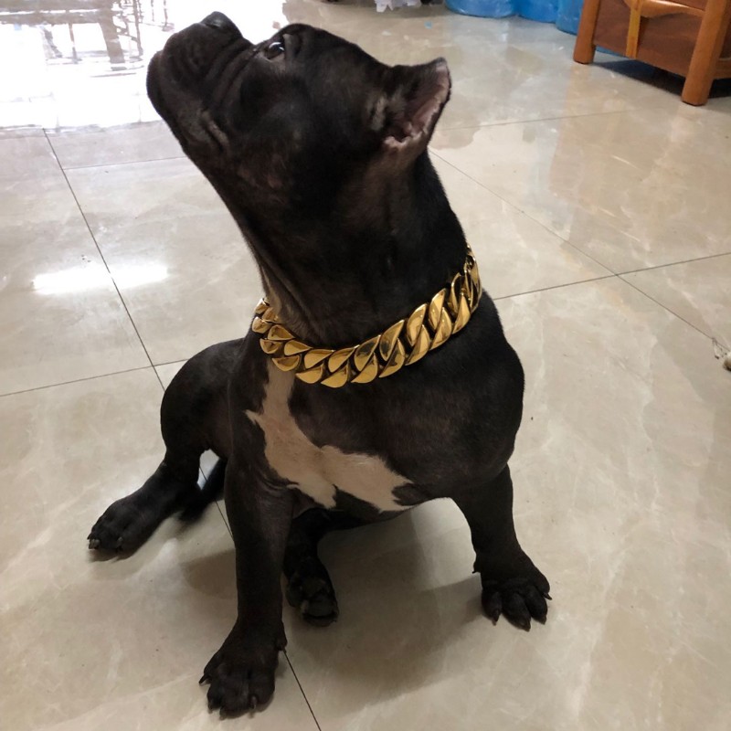 霸气大型犬土卡豪项圈粗狗链不锈钢脖圈恶霸金斯罗宠物用品定制