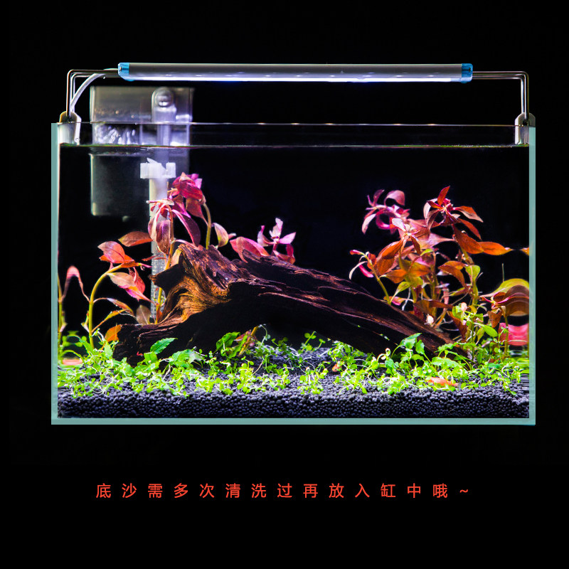 金晶造白缸鱼真水草超景桌面客厅办公室小型玻璃水族箱热带金鱼缸