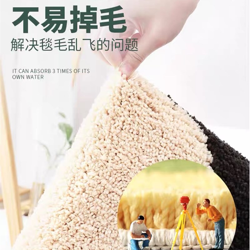 浴室吸水地垫间门家用门垫洗门间厕所地毯卫生进手口防滑垫子