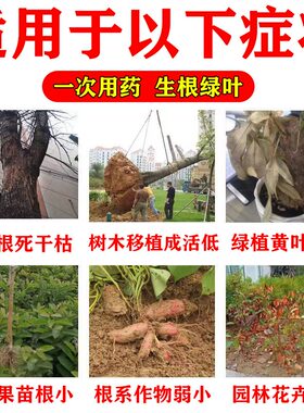 【100%复活】大树成活营养液死树复活生根液枯树烂根烂苗复活剂