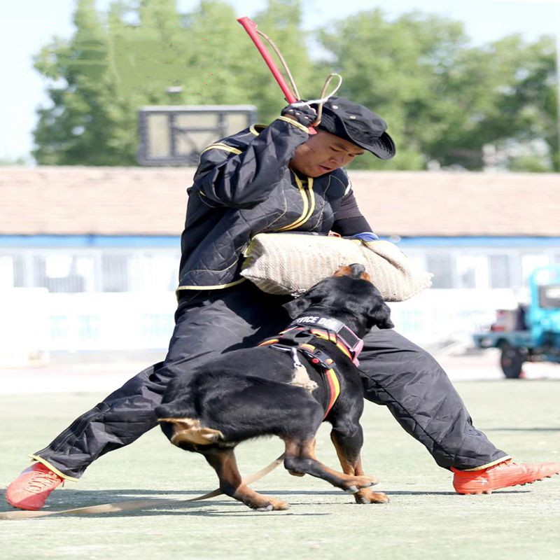 训犬用品装备3G多功能短靶扑咬护袖咬枕训练扑咬装备飞靶马犬德牧