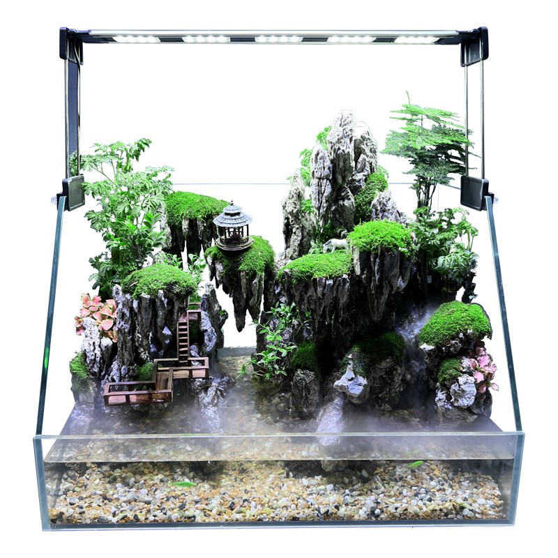 双过滤高清超白玻璃直角鱼缸水陆缸假山造景生态景观成品家居懒人