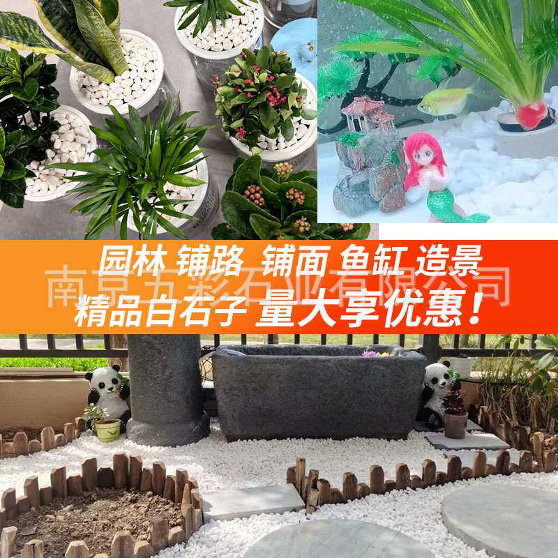 50斤装天然白石子园艺盆栽石头多肉铺面郁金香庭院造景