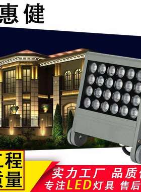 户外投射照树灯18W36W48W72W大功率LED投光灯外墙景观亮化工程灯