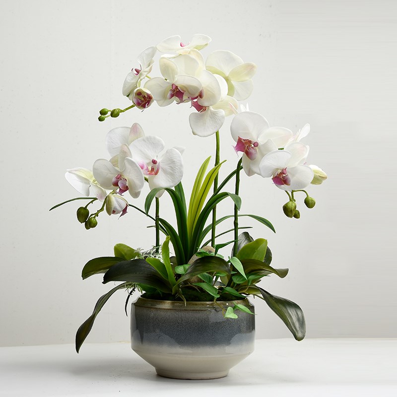 蝴蝶兰仿真花高端手感蕙兰花高品质假花轻花盆景客厅餐桌奢艺摆件