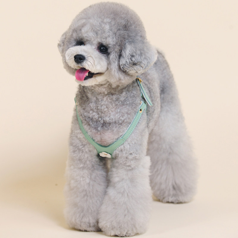 狗可胸背宠物牵引绳背心带防挣脱小型犬背式夏季溜狗爱狗泰迪调节